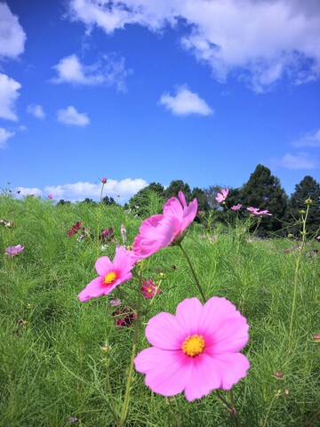 ご挨拶